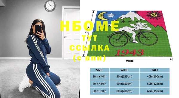 индика Армянск