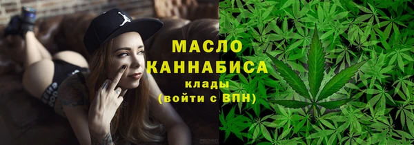 индика Армянск